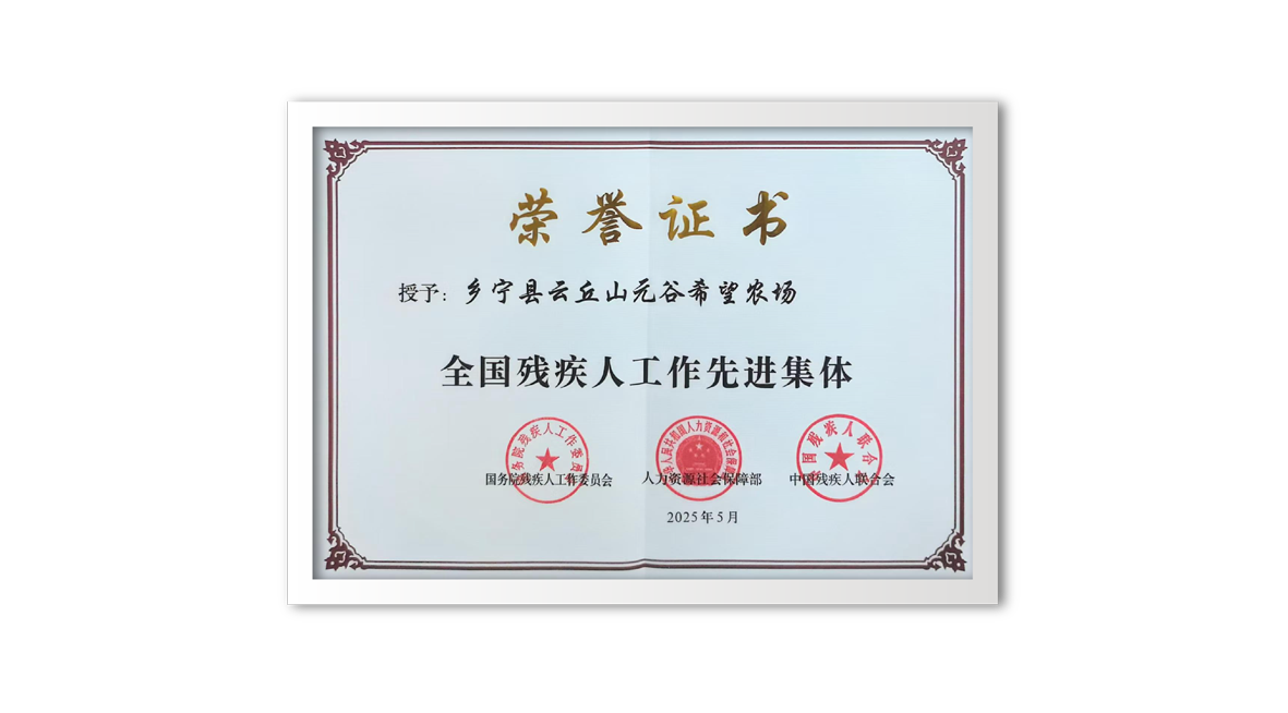 1750065529237